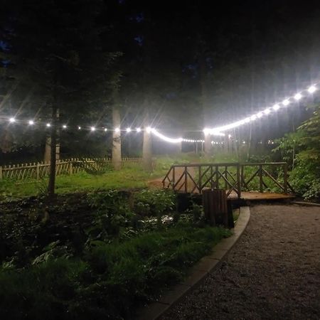 Villa Park - Beniart Studio - Nr 109 - Near Gondola Lift Borovets Exterior photo